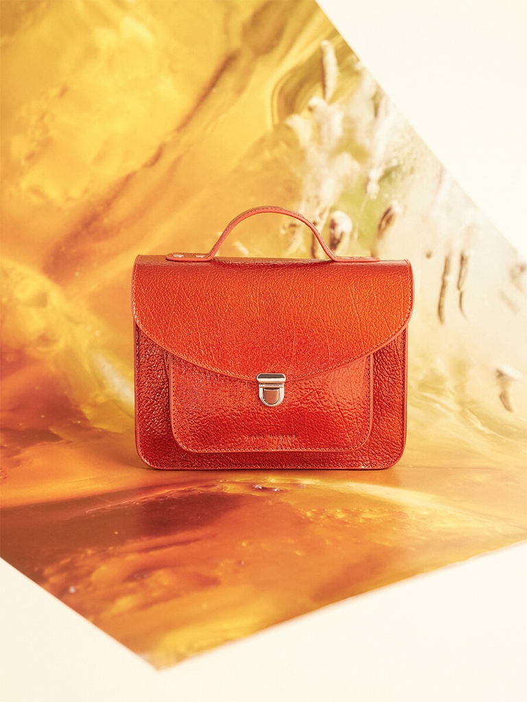 SAC À MAIN MINI EN CUIR - Paul Marius - Mademoiselle George - Star Flamme — vue 2