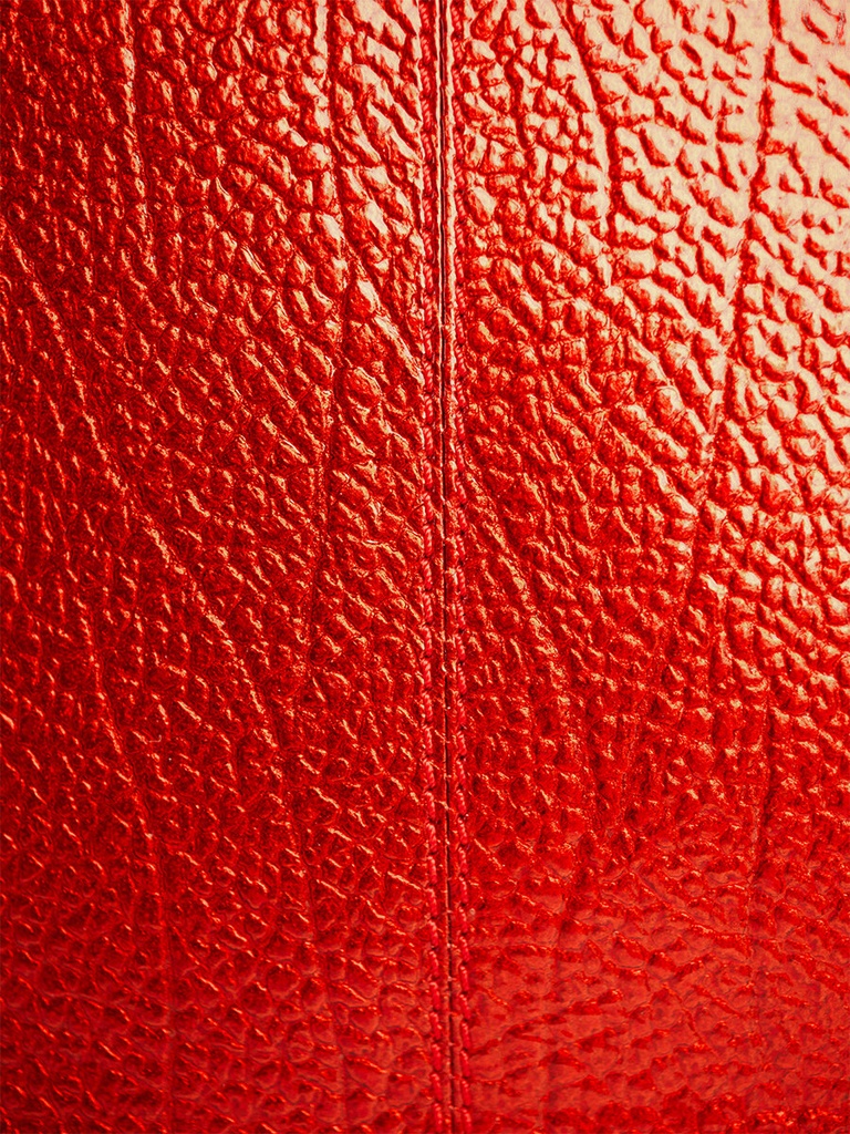 SAC À MAIN MINI EN CUIR - Paul Marius - Mademoiselle George - Star Flamme — vue 3