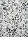 woo-54488