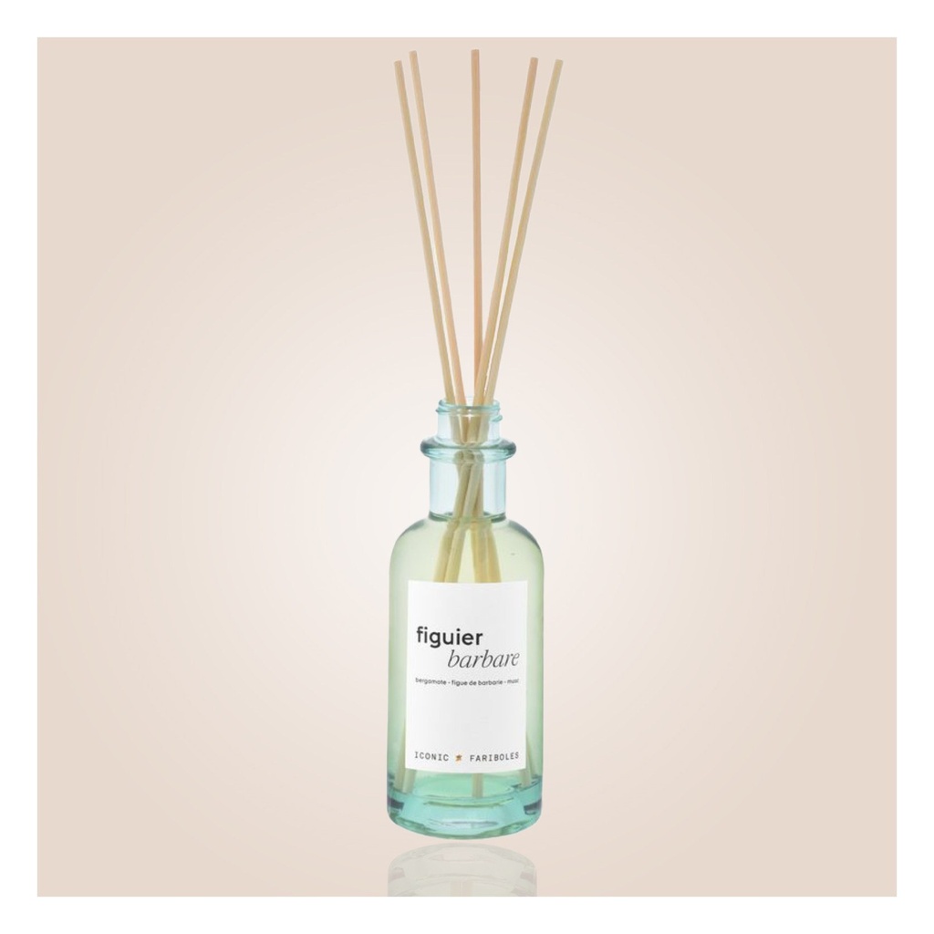 Mikado FARIBOLES - figuier barbare 250ml MIFIG (2)