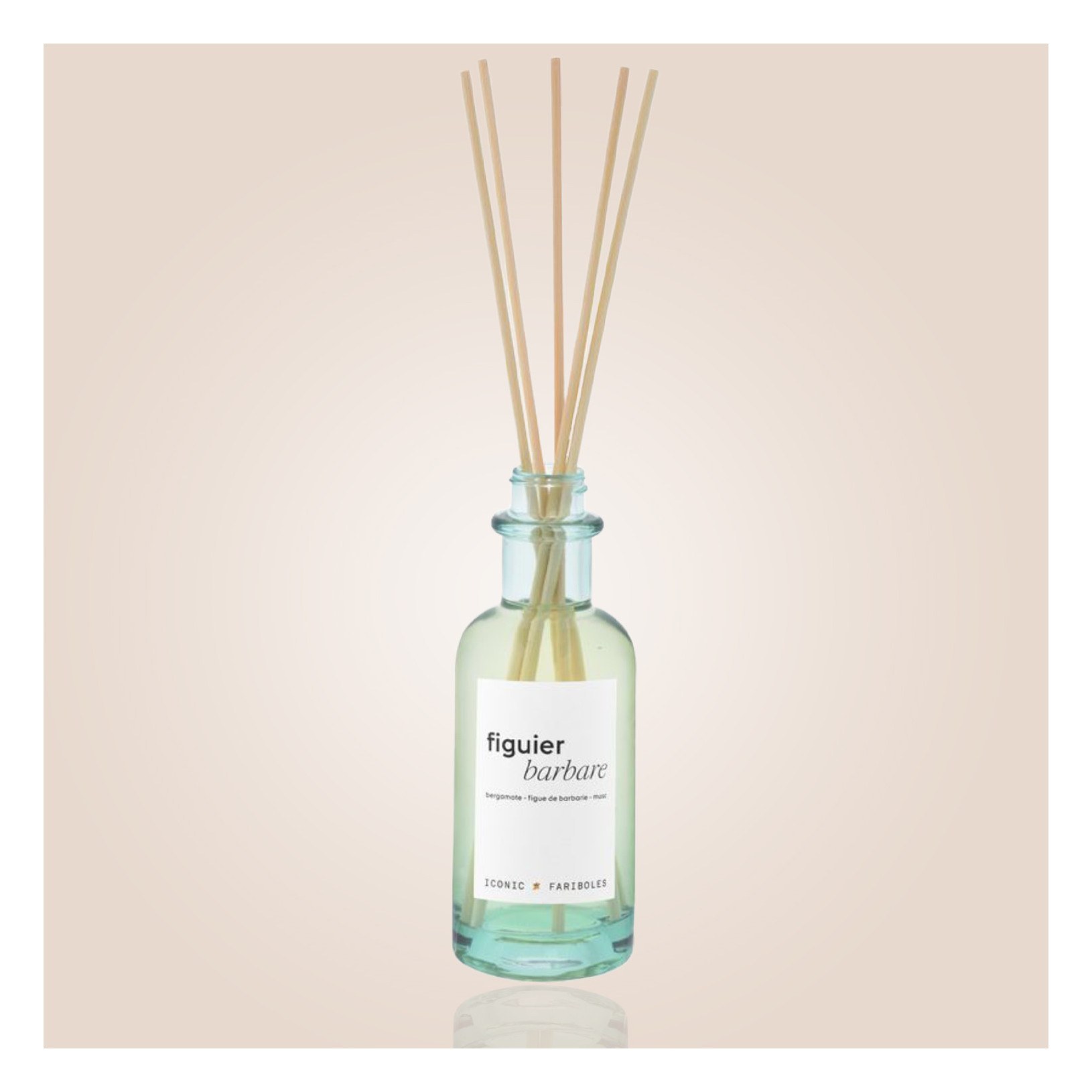 Mikado FARIBOLES - figuier barbare 250ml MIFIG (2)