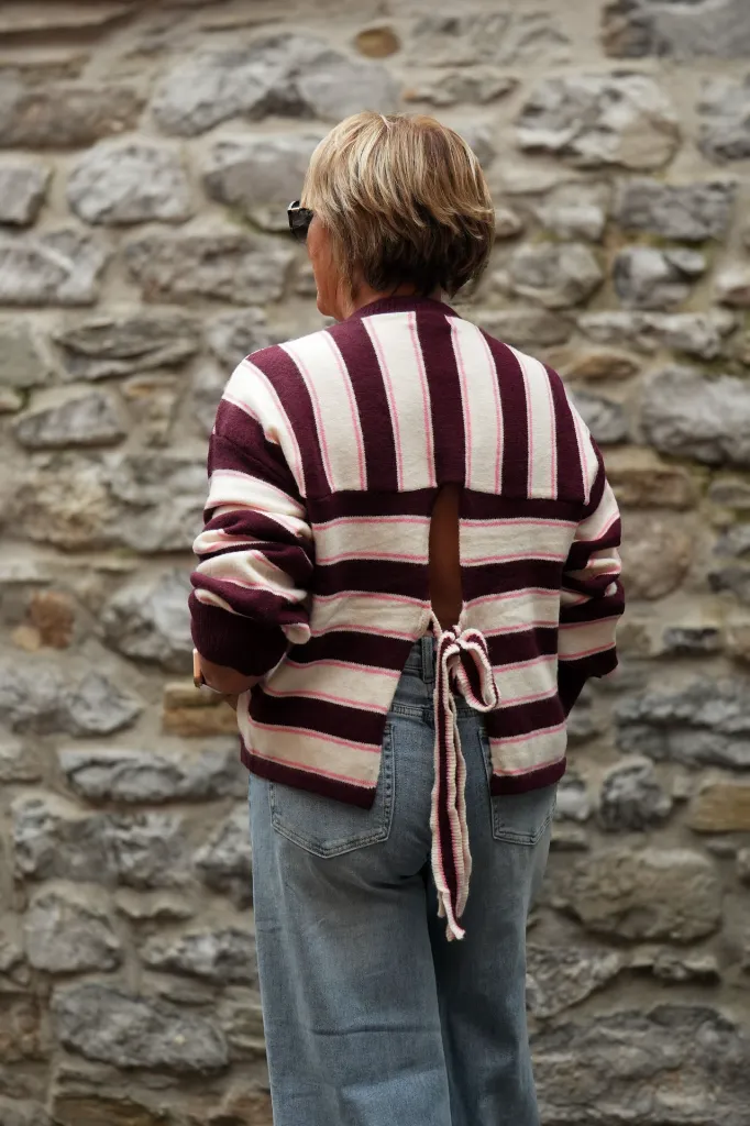 Pull - Burgundy/beige (vue 3)