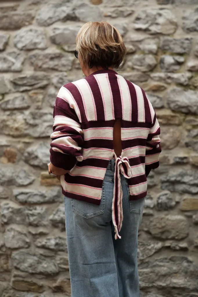 Pull - Burgundy/beige (vue 4)