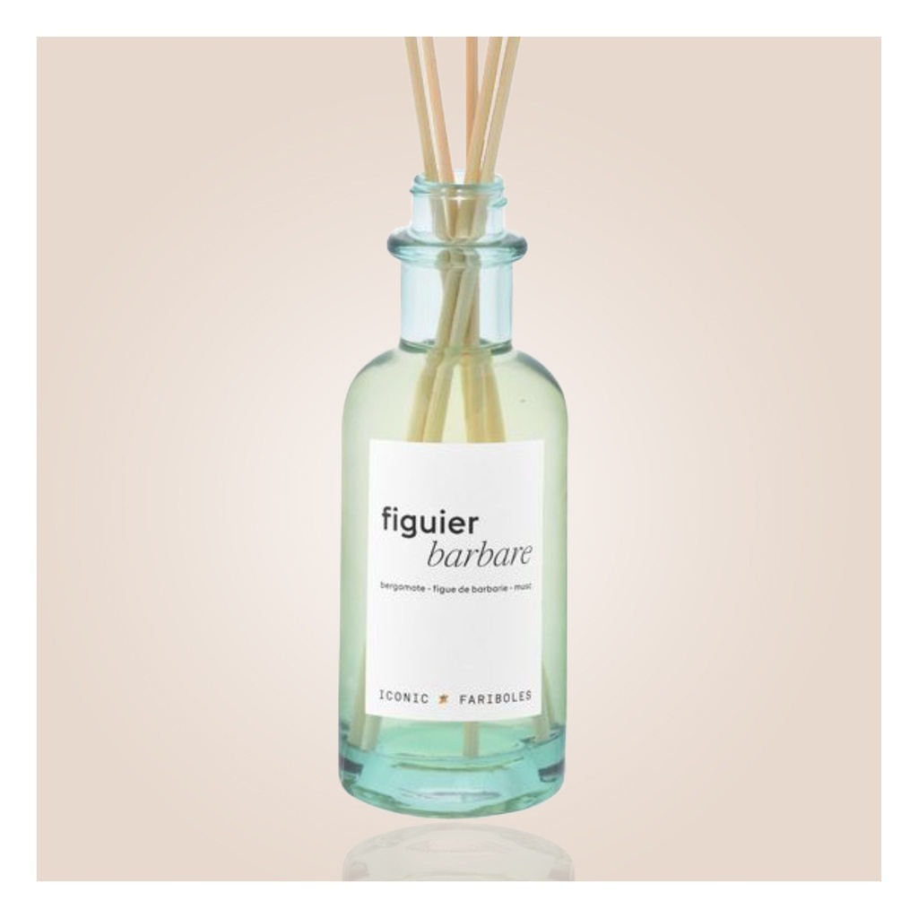 Mikado FARIBOLES - figuier barbare 250ml MIFIG