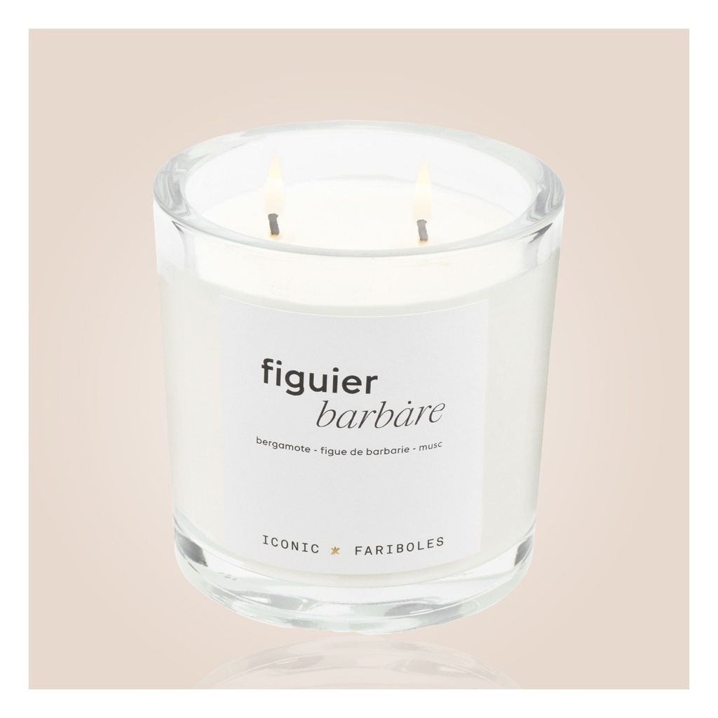 Bougie Iconic FARIBOLES - Figuier Barbare  320g