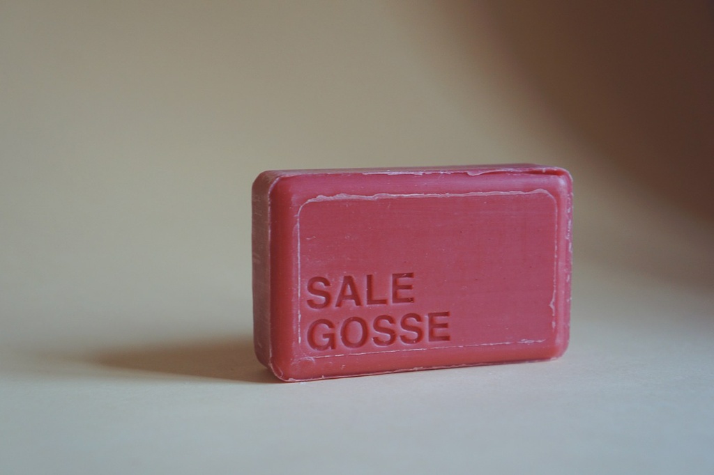 [SALEGOSSE-1SAVGOS] Savon - Félicie aussi - Sale gosse