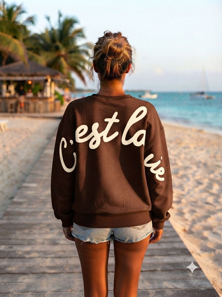 [2495-chocolat] Sweat-shirt en coton - Chocolat