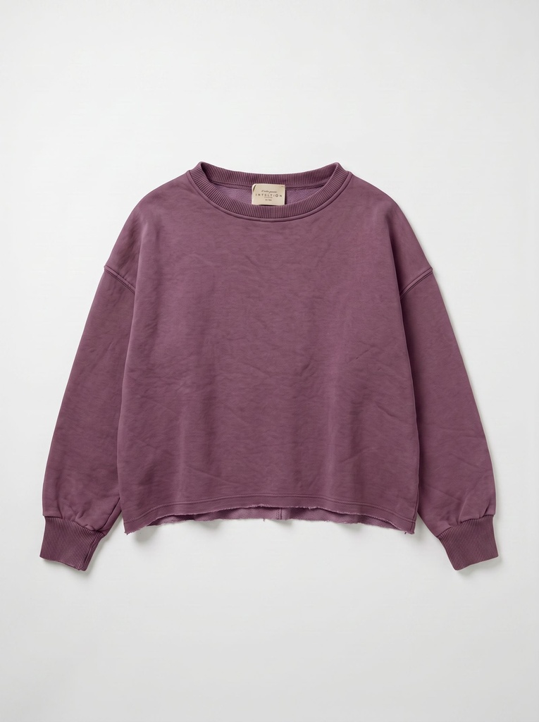 Sweat en coton délavé - Acai