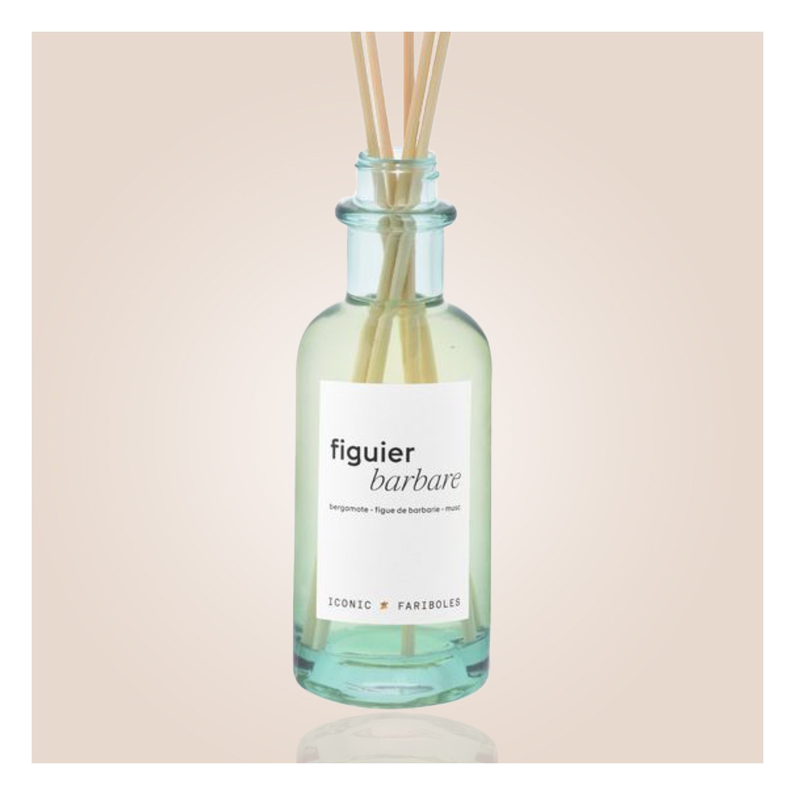 Mikado FARIBOLES - figuier barbare 250ml MIFIG