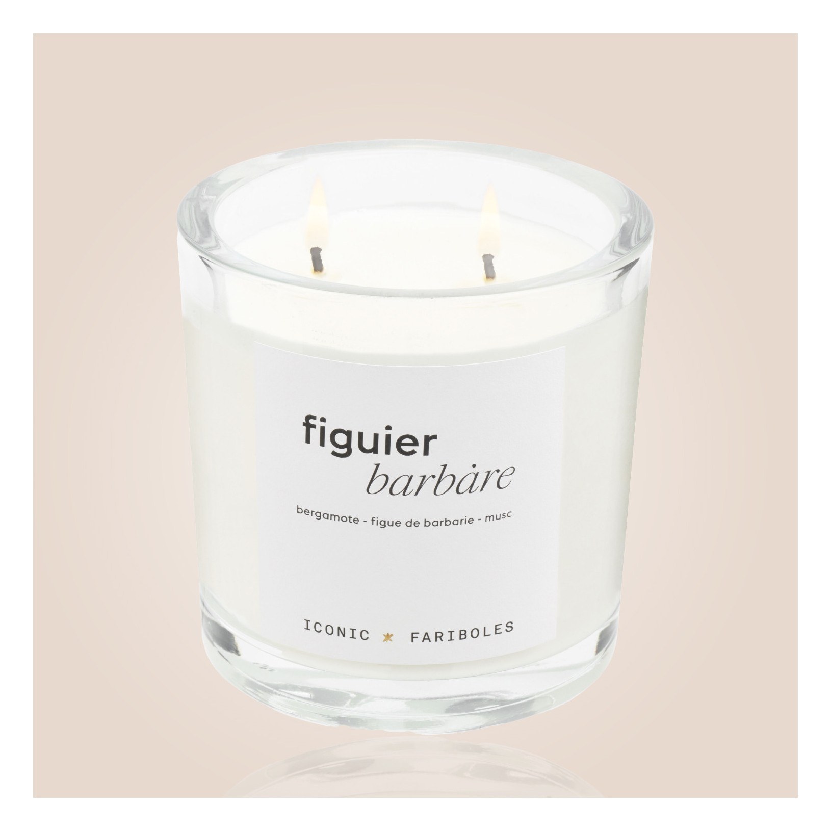Bougie Iconic FARIBOLES - Figuier Barbare  320g