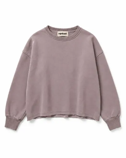 Sweat en coton délavé - Taupe