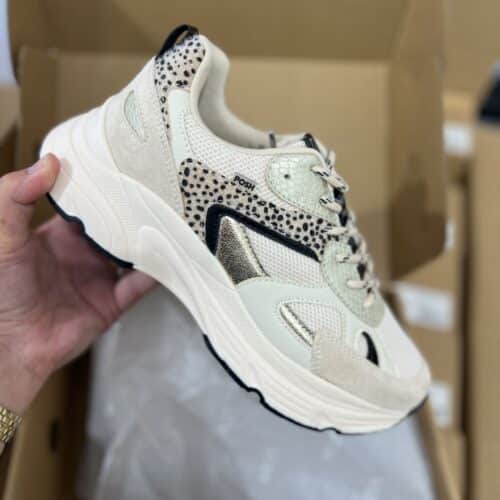 Basket basse pour femmes POELMAN AYOKI Beige et doré print animal semelle structurée