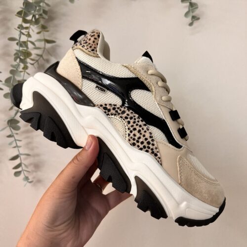 Basket basse pour femmes POELMAN POLLY Beige et noir print animal semelle structurée bicolore