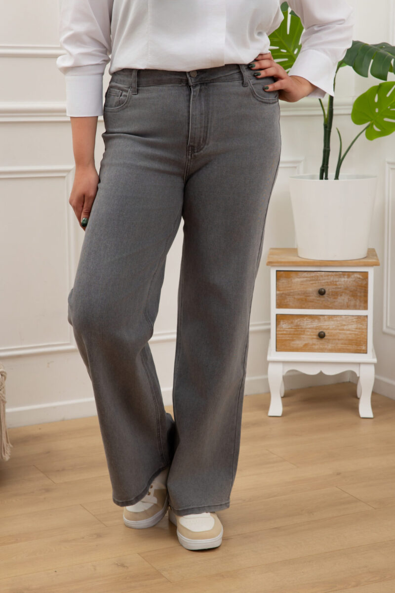 jeans large curvy lola gris 01 scaled