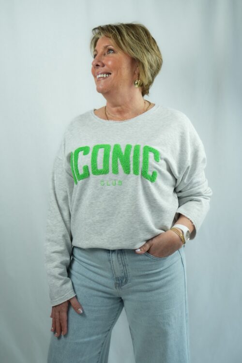 Sweat-shirt col rond avec relief poitrine - ICONIC - gris