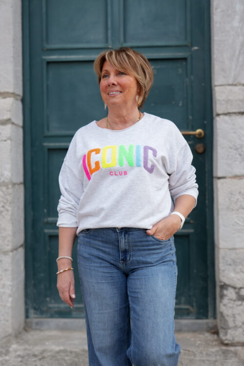 Sweat-shirt col rond avec relief poitrine - ICONIC multicolore - gris