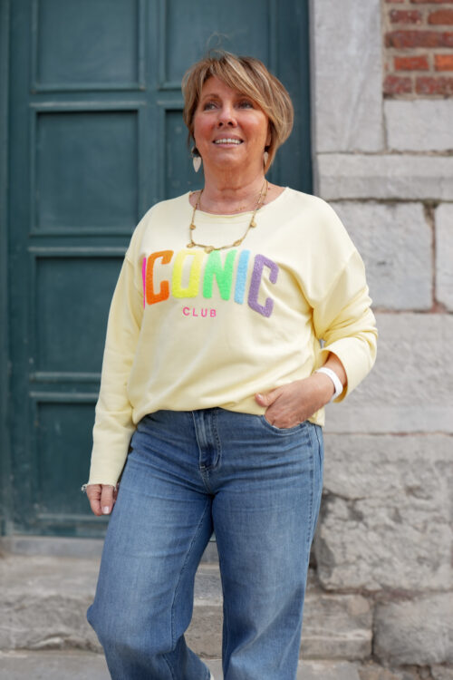 Sweat-shirt col rond avec relief poitrine - ICONIC multicolore - jaune